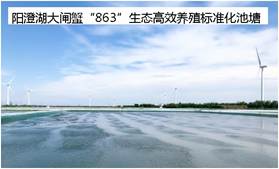 说明: 阳澄湖大闸蟹“863”生态高效养殖标准化池塘